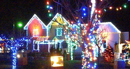 lighted houses at the Columbus Zoo